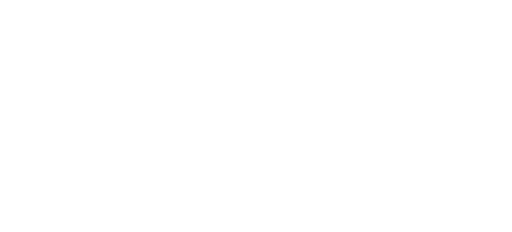 IDS